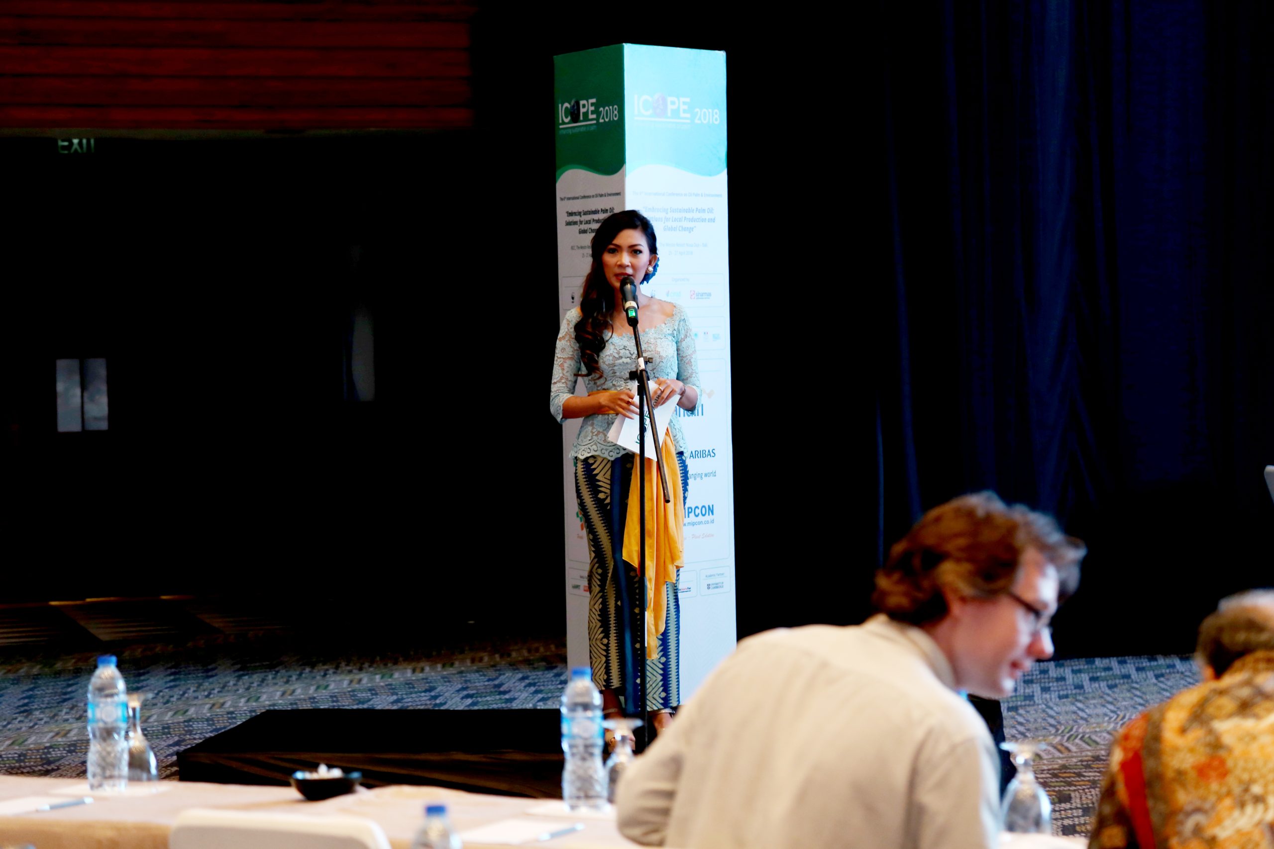 IMG_9384 - Copy (2)